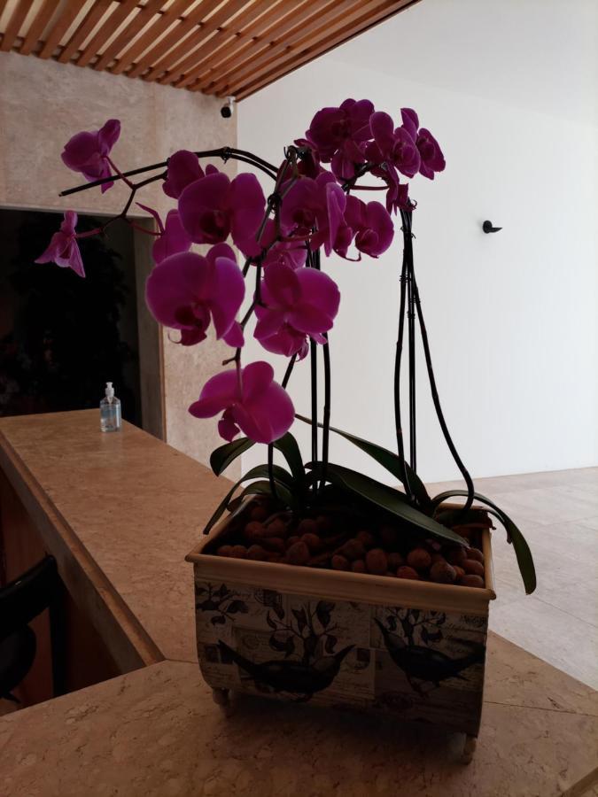 Casa De Campo No Resort Residence Thermas De Santa Barbara Aguas de Santa Barbara Εξωτερικό φωτογραφία